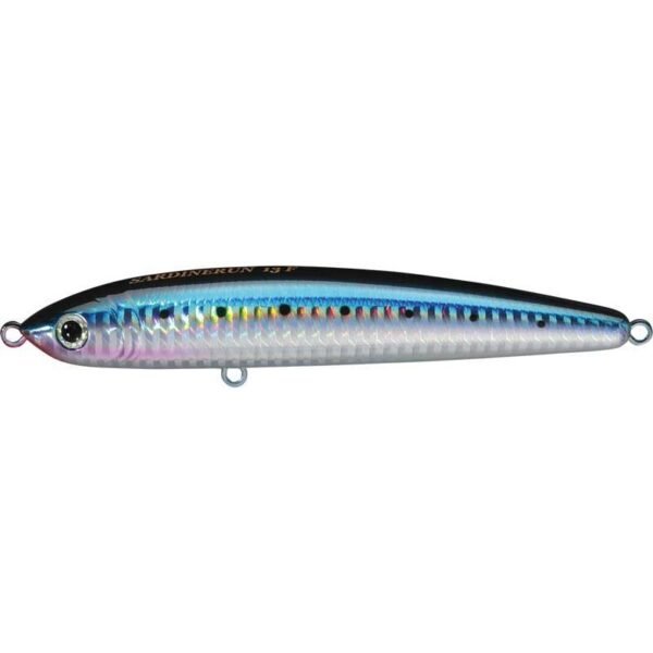 SMITH SARDINERUN 13 F