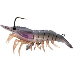 LIVE TARGET LIVE SHRIMP FINESS BAIT 95